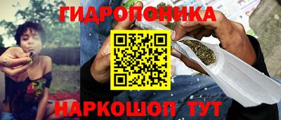 шишки Пыть-Ях