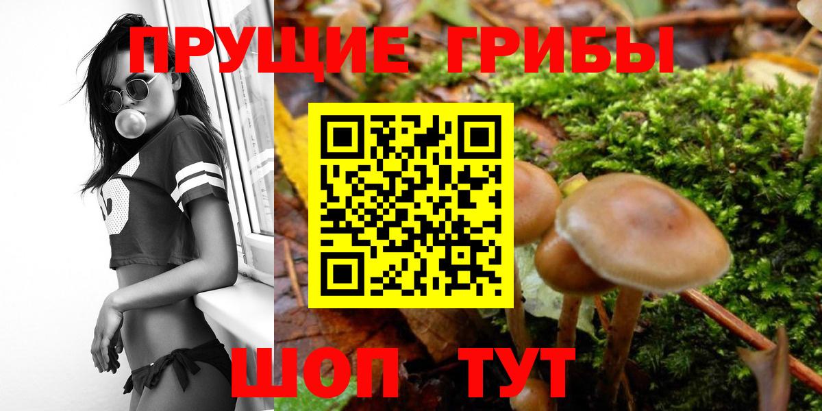 Галлюциногенные грибы MAGIC MUSHROOMS Сосновый Бор