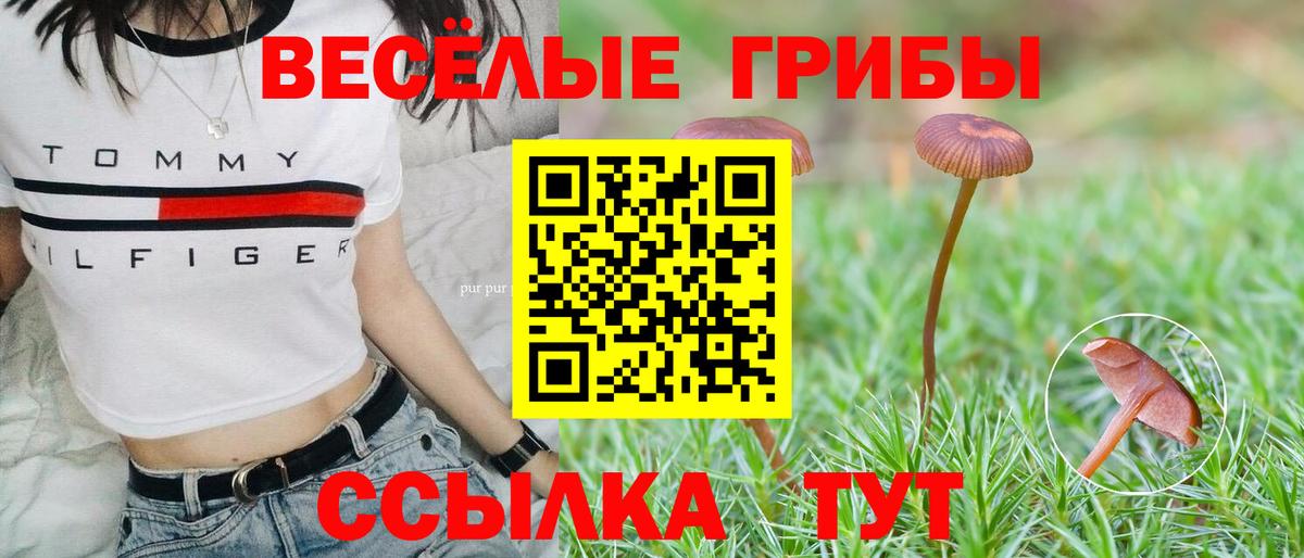 наркошоп  Вход с VPN  Сосновый Бор  Галлюциногенные грибы Psilocybe 