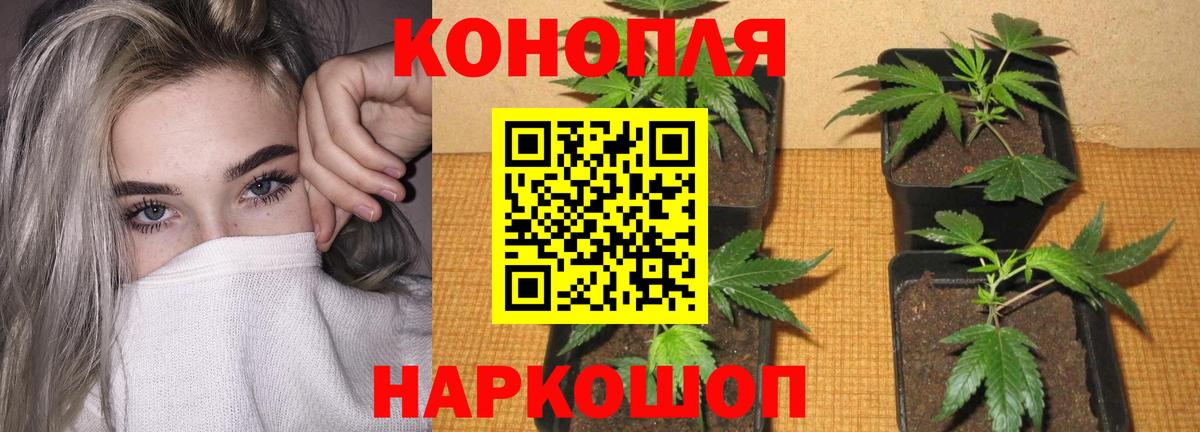 Марихуана THC 21% Сосновый Бор
