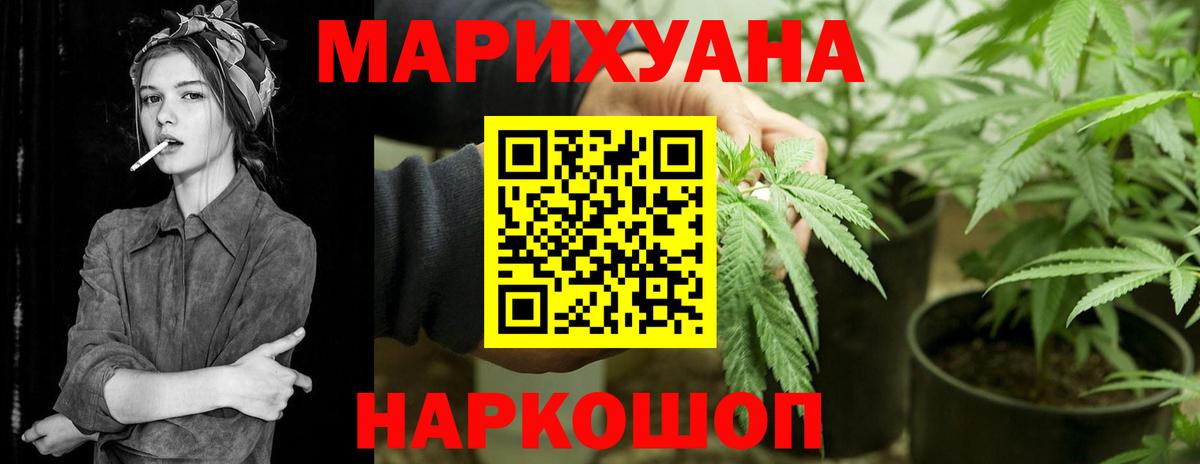 Бошки Шишки семена  Канабис White Widow  МАРИХУАНА ГИДРОПОН  Сосновый Бор  Вход с VPN  Каннабис AK-47 